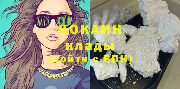 ешки Дмитриев
